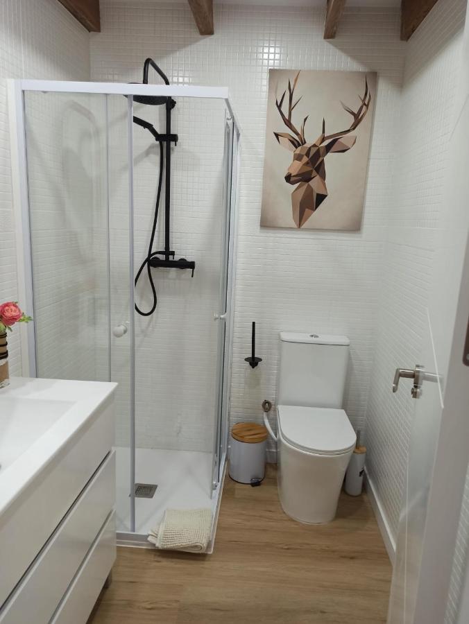 Apartament Ciervos
